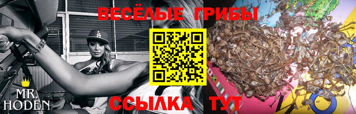 Псилоцибиновые грибы прущие грибы Балашиха